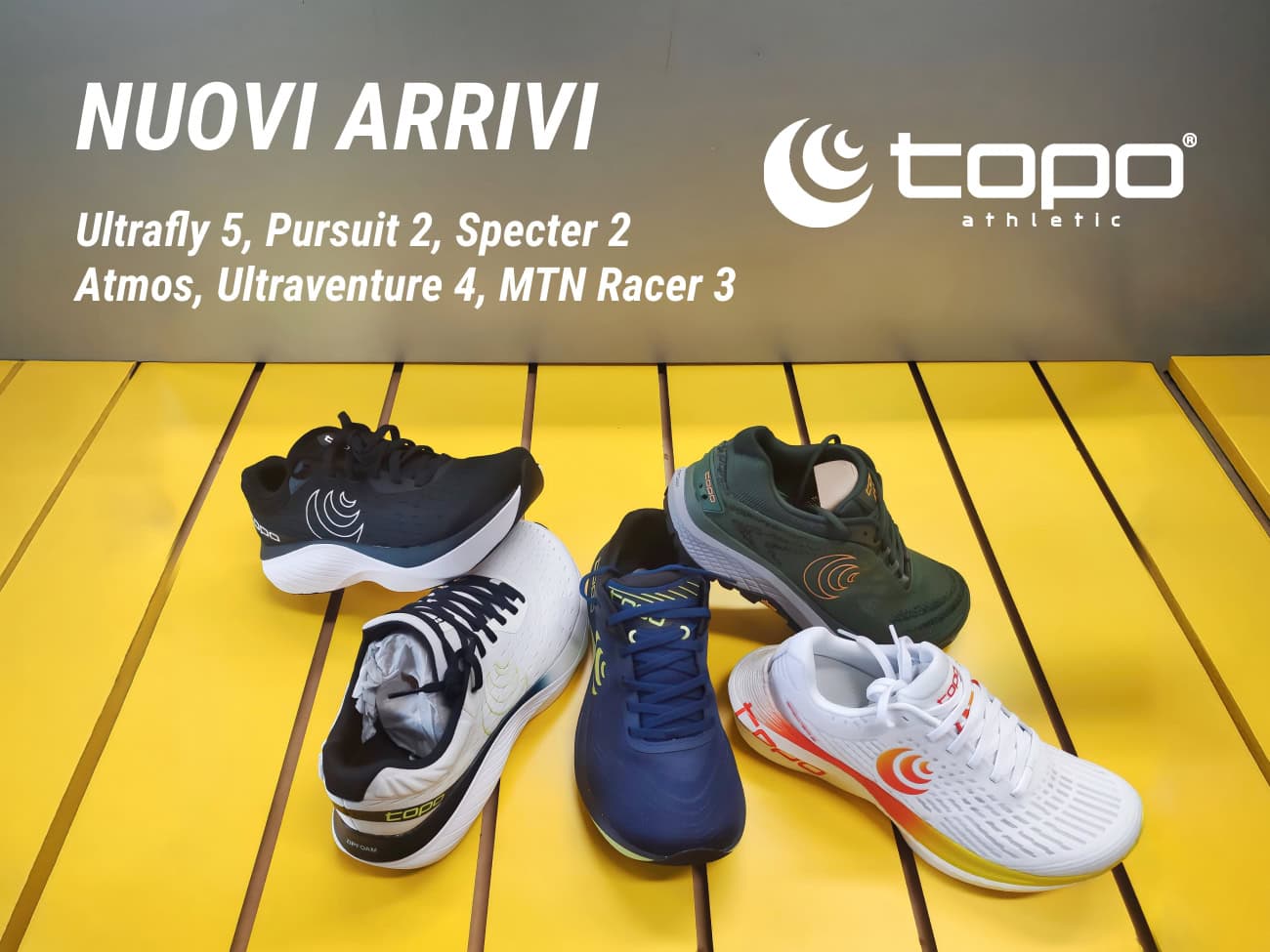 banner nuovi arrivi topo 2025 banner nuovi arrivi topo 2025