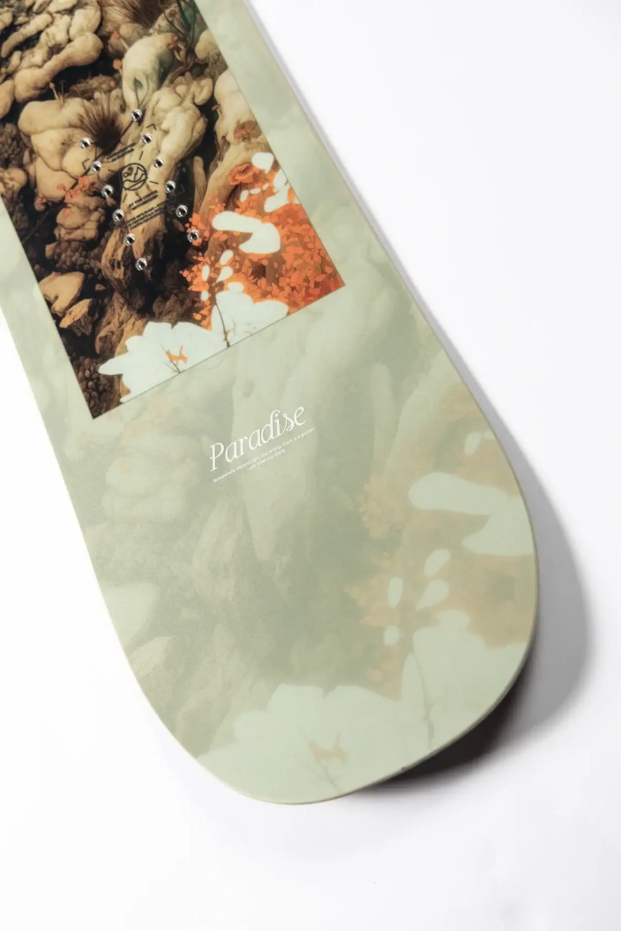 CAPITA PARADISE 2026/27 tavola snowboard da donna - immagine 3